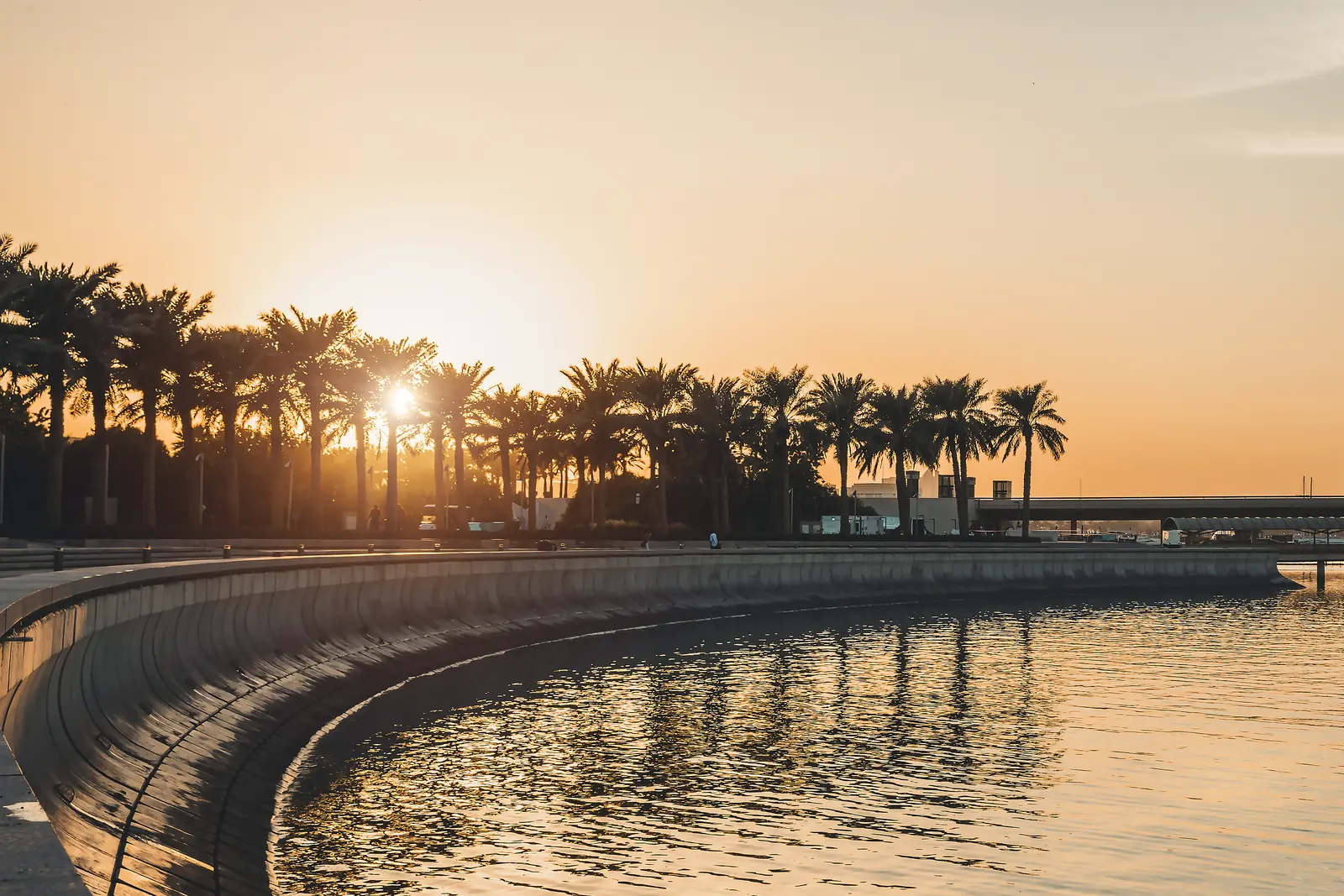 A palm-lined promenade curving along the water as the sun sets behind the palms