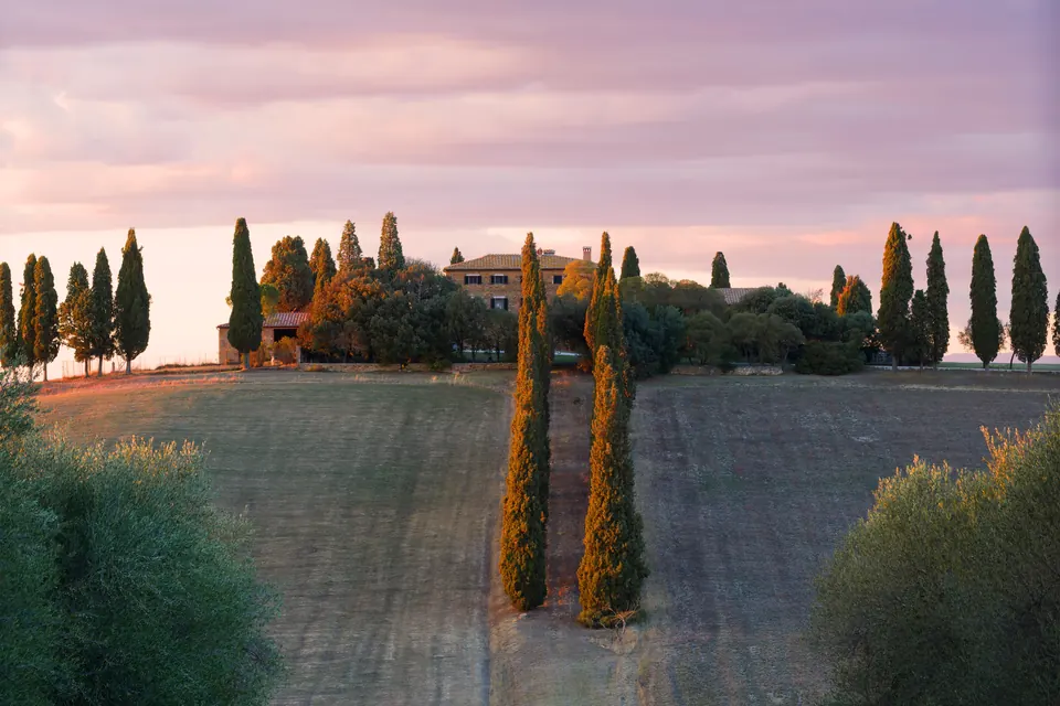 A country manor among cypress trees above open fields at dawn