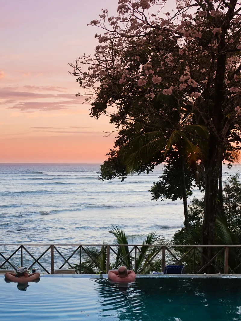 An infinity pool beneath a flowering tree, the sea beyond at sunset