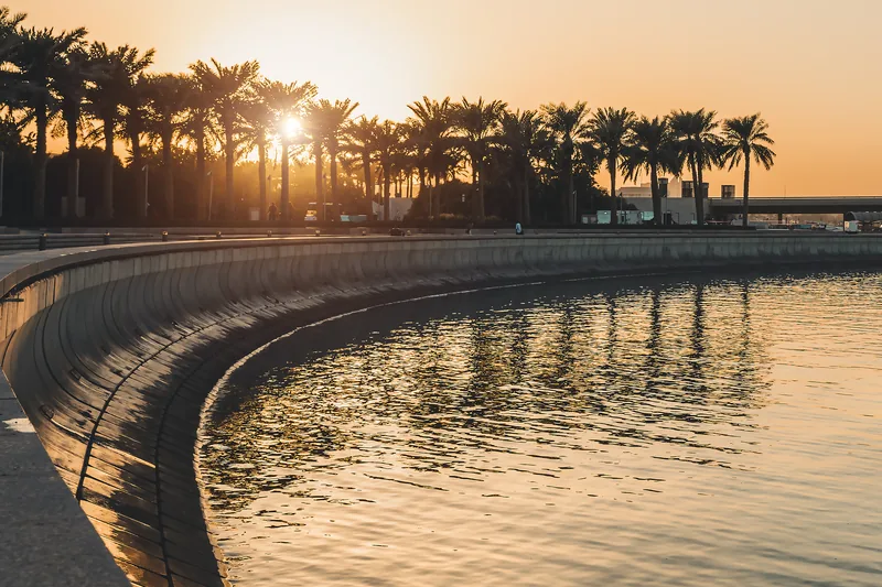 A curved stone promenade beside calm water, palms against the setting sun