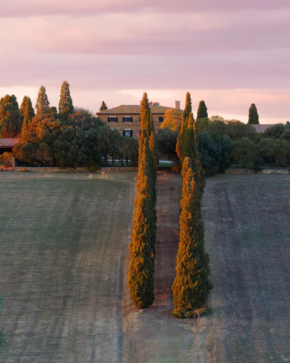 A stone country estate behind a row of cypress trees at sunset