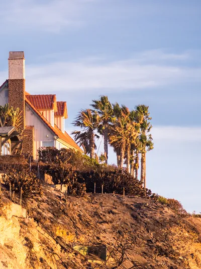 Clifftop houses and palms in late golden light