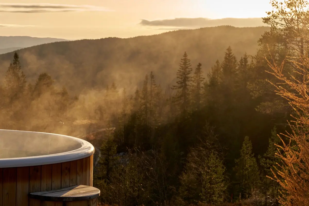 Steam rising over a forested valley in the low evening sun