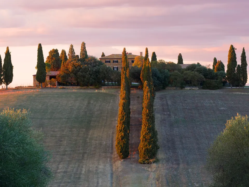 A stone manor behind an avenue of cypress trees on a hill at dawn