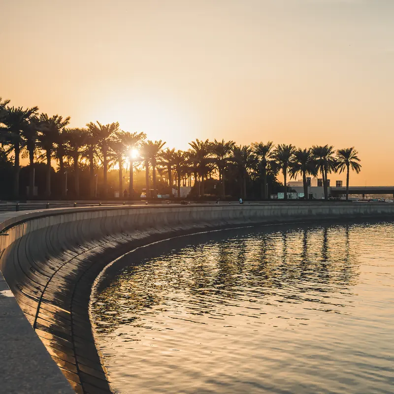 Palms along a curved waterfront promenade at sunset